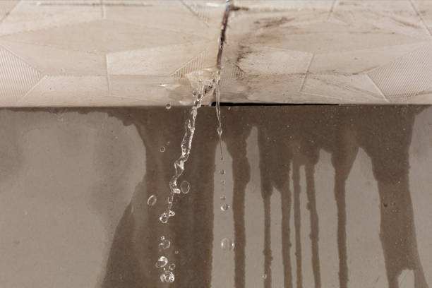 Professional Burst Pipe Cleanup technician working in Grant, AL